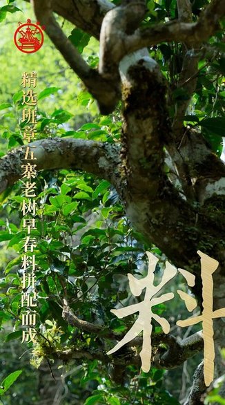 八角亭2022年九鼎珍藏班章五寨普洱茶