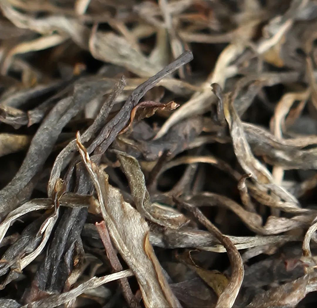 荣瑞祥2022年帕沙犀牛塘头春古树茶