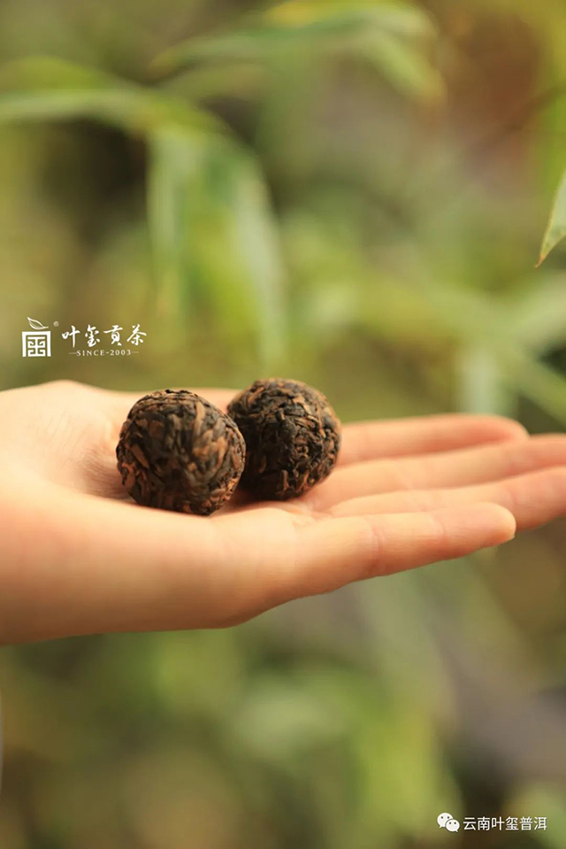 云南叶玺普洱叶玺龙珠熟茶礼盒
