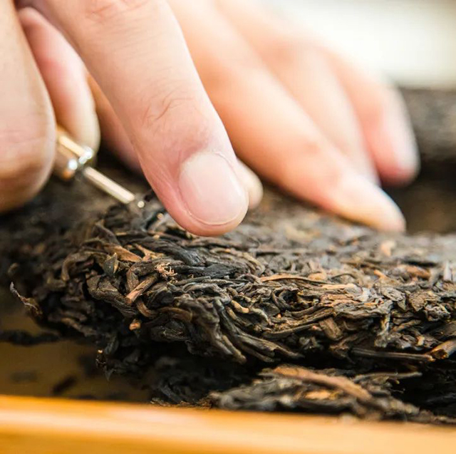 双陈普洱老茶特供周
