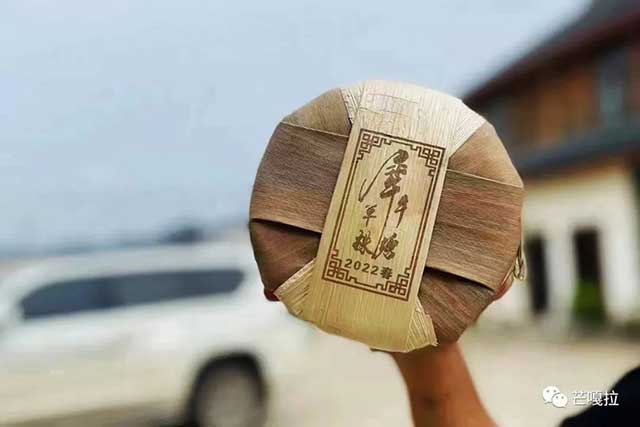 芒嘎拉犀牛塘单株普洱茶