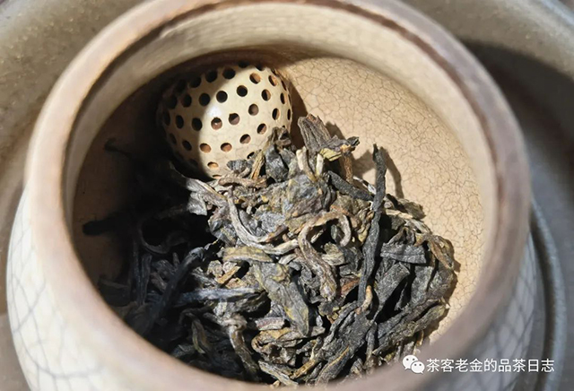 栩月古茶2020年某茶地头春古树普洱茶