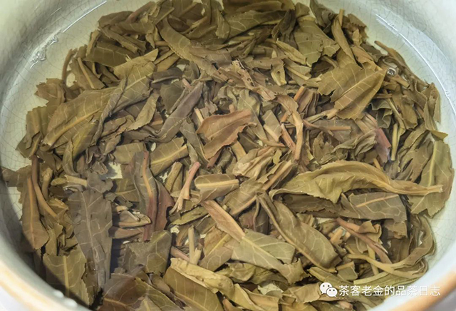 栩月古茶2020年某茶地头春古树普洱茶