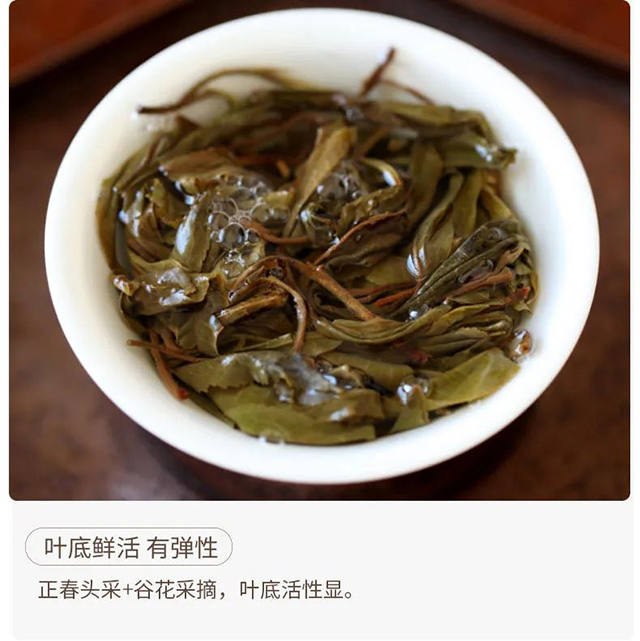 荣瑞祥春秋大叶2022年梅子箐锅底塘古树茶