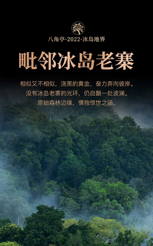 八角亭冰岛五寨系列之冰岛地界普洱茶