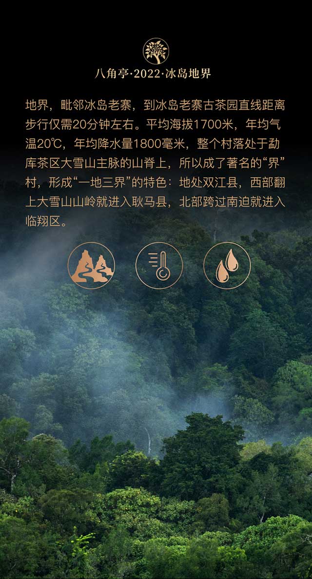 八角亭冰岛五寨系列之冰岛地界普洱茶