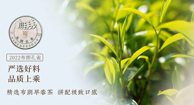 ���2022�겼�ʿ�ȸ�ٷ�Ʒ��