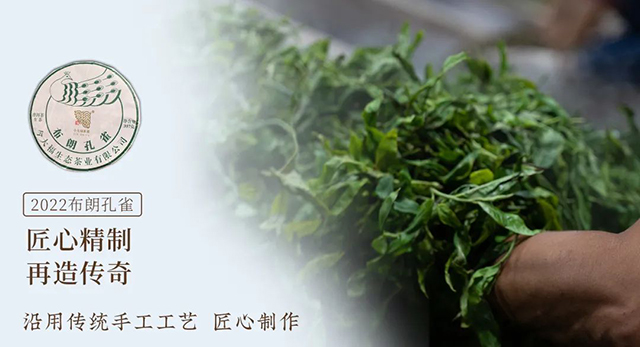 ���2022�겼�ʿ�ȸ�ٷ�Ʒ��
