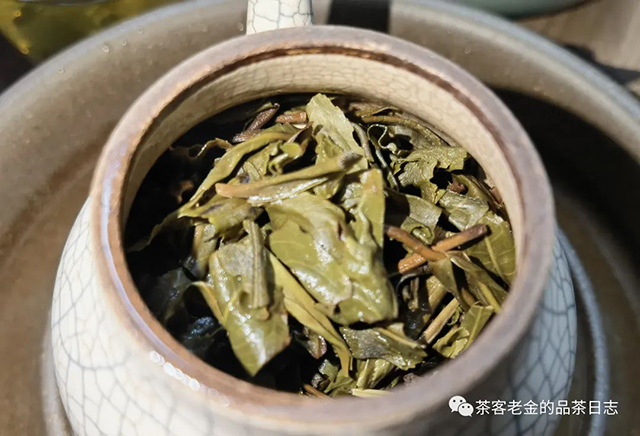 栩月古茶2022年弯弓普洱茶