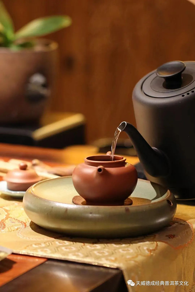 天威德成老班章茶会