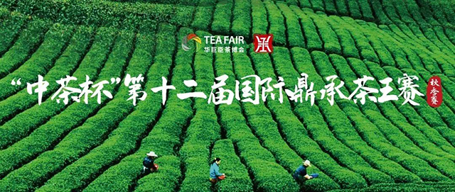 �в豭���ʶ��в�����