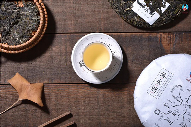 南茗佳人落水洞古树春茶