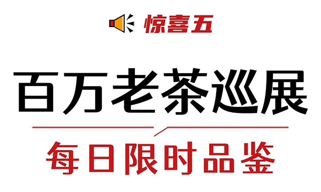 双陈老茶开仓节
