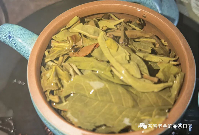 栩月古茶2021年滑竹梁子普洱茶