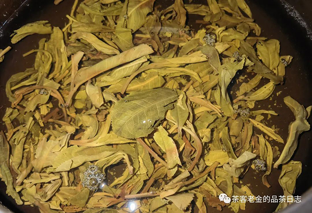 栩月古茶2021年滑竹梁子普洱茶
