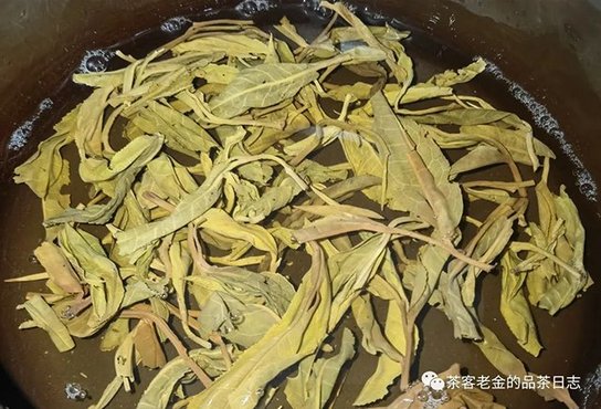 萧关茶事2022年打落古树普洱茶
