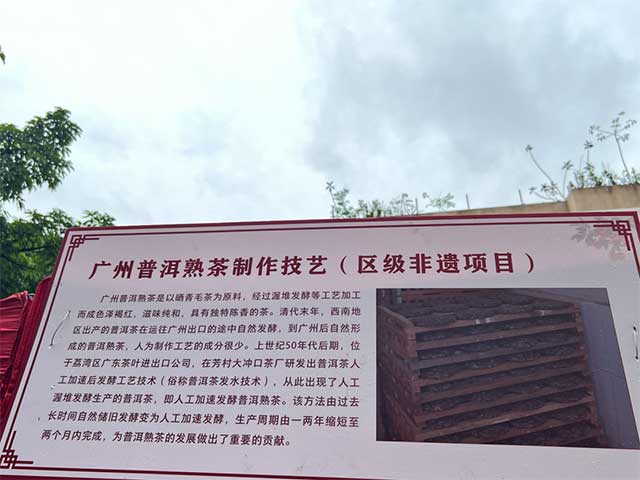 天璞印象泰斗茶青创杯
