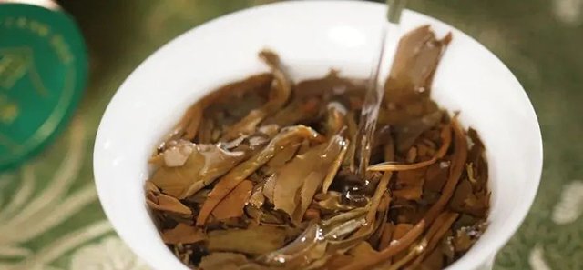 老茶好仓绿色生态19年陈勐海老生茶