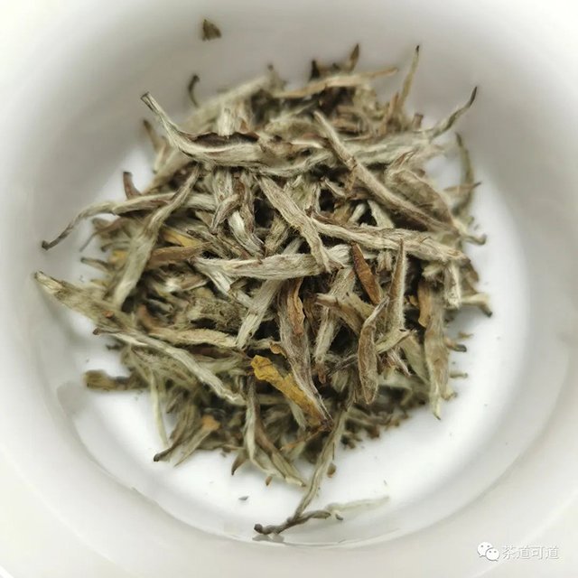 2021年广福心道翠竹白毫银针