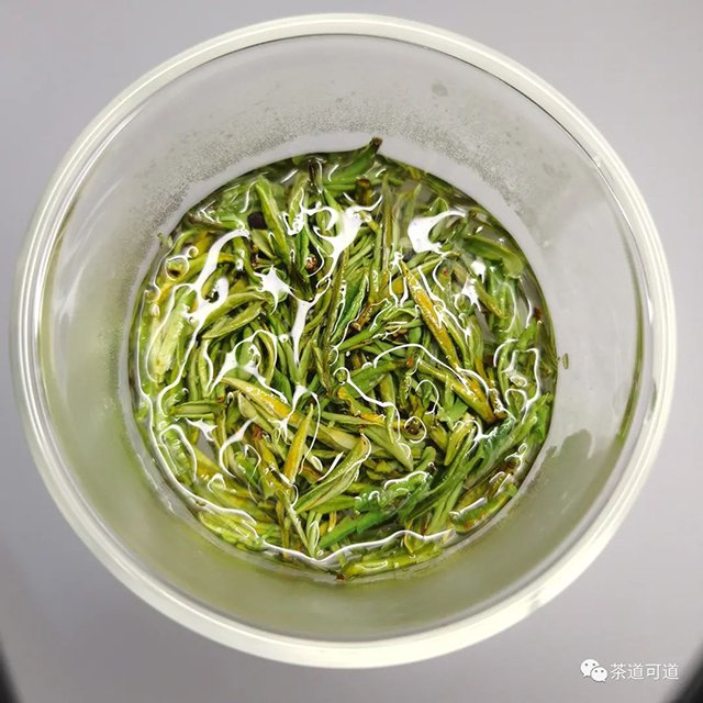 芳羽安吉白茶开园头采2021品质特点