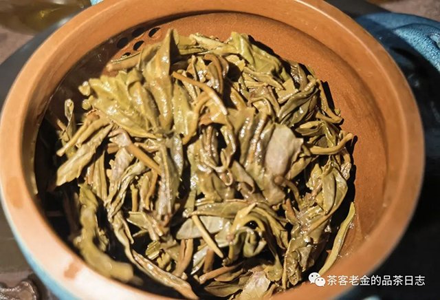 庄主号2020年大黑树林普洱茶