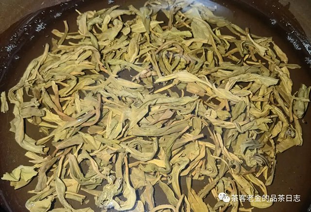 庄主号2020年大黑树林普洱茶