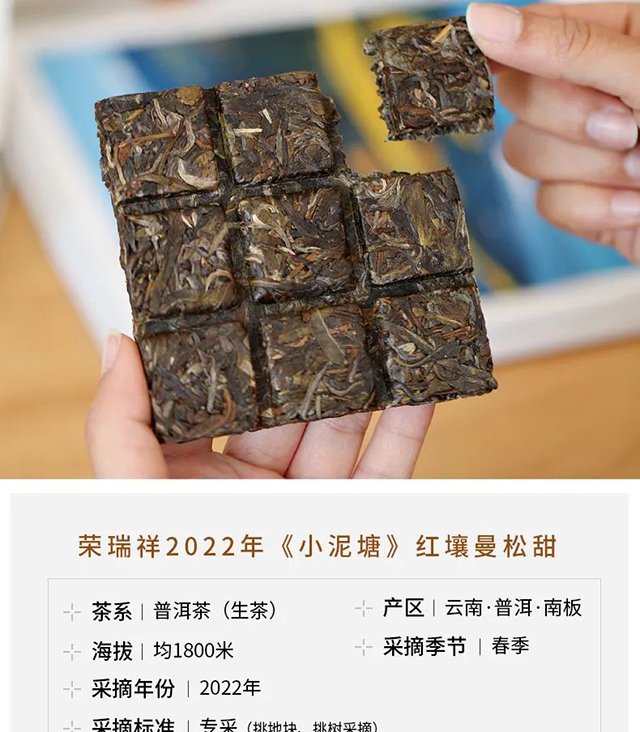 ������2022��С�������������������