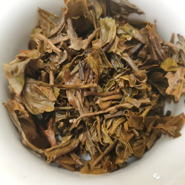 2019年佰年尚普金尚普洱茶品质特点