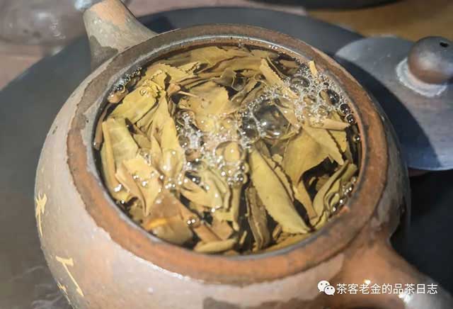 苦行茶僧2022年茶拾肆普洱茶