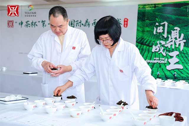 �ǵº���в豭��ʮ������ʶ��в�������
