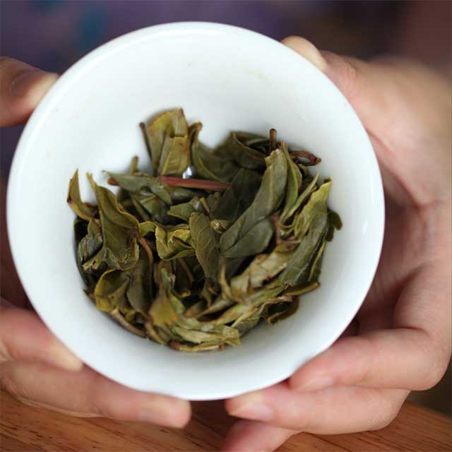 荣瑞祥2023年困鹿山瑞兔呈祥兔年生肖茶