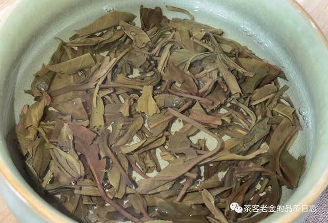 庄生晓梦2022年朴鲁普洱茶