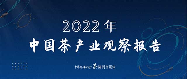 2022���й����ҵ�۲챨��