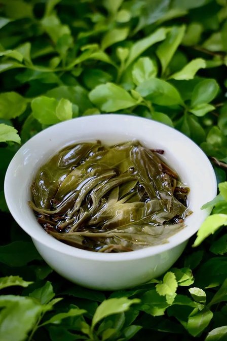 云柯庄园2022春麻黑古树茶品质特点