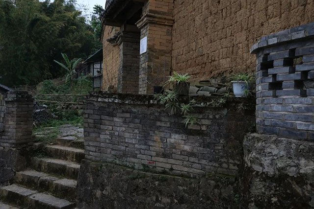 云柯庄园2022春麻黑古树茶品质特点