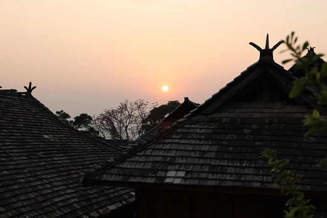 云柯庄园2022春景迈芒景古树茶品质特点