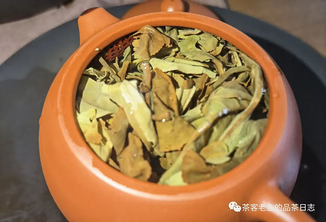栩月古茶2020年云白