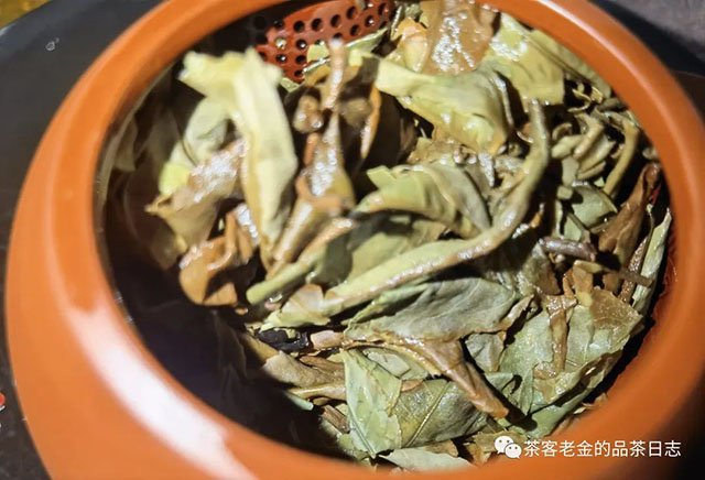 栩月古茶2020年云白