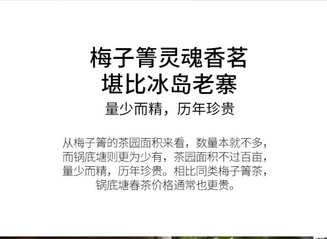 �����鴺��Ԥ��2023��÷���������ͷ��������