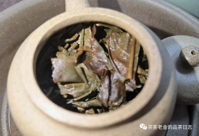 茶者无喧2016年莽枝单株普洱茶