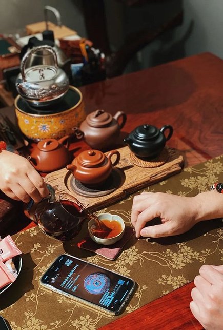 双陈普洱老茶特供周品鉴会