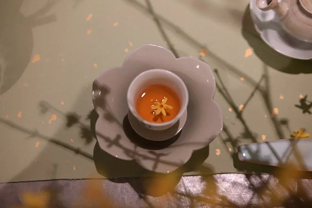 双陈普洱老茶特供周品鉴会