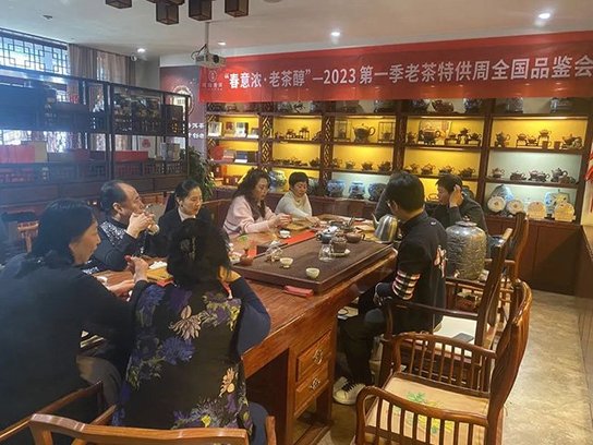 双陈普洱老茶特供周品鉴会