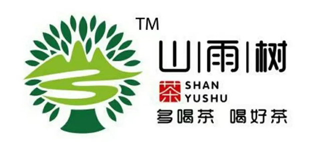 山雨树主理人陈伦川