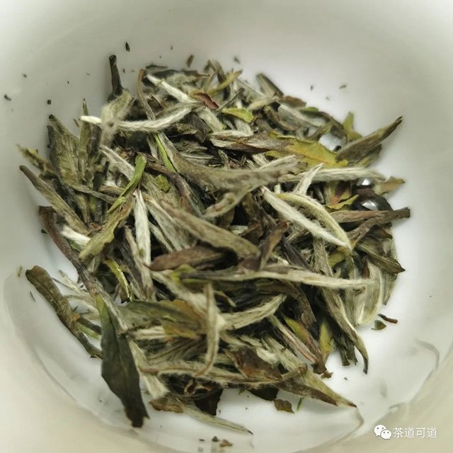 品品香1820白牡丹茶样