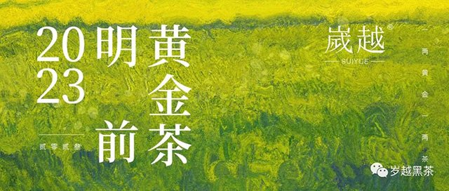 岁越黑茶保靖黄金茶