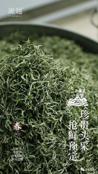 岁越黑茶保靖黄金茶