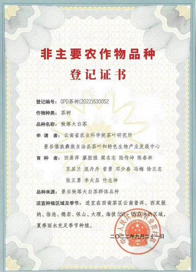 景谷大白茶区域公共品牌