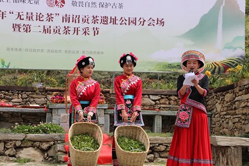 南诏贡茶刷新首届拍卖记录