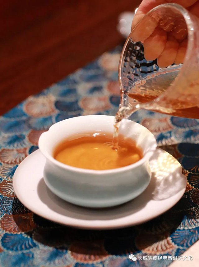 天威德成2023年亦悟普洱茶品质特点